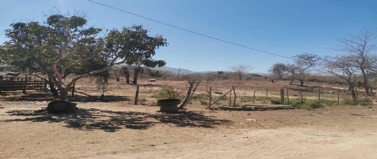 Foto de terreno habitacional en venta en san miguel 1, el palmar del progreso, puerto vallarta, jalisco, 0 No. 04