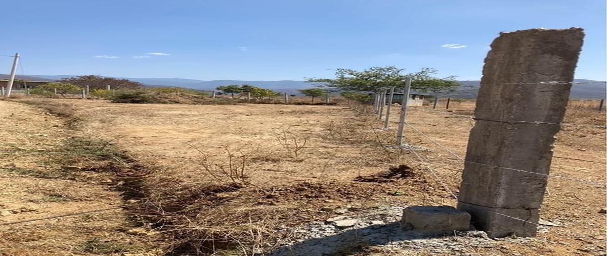 Foto de terreno habitacional en venta en  , san miguel 3a sección, tlalixtac de cabrera, oaxaca, 25799493 No. 03