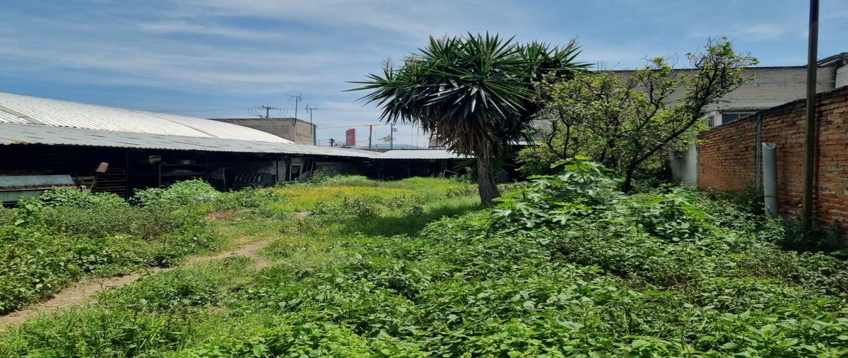 Foto de terreno habitacional en renta en  , san miguel 8va. ampliación, iztapalapa, df / cdmx, 27170539 No. 04