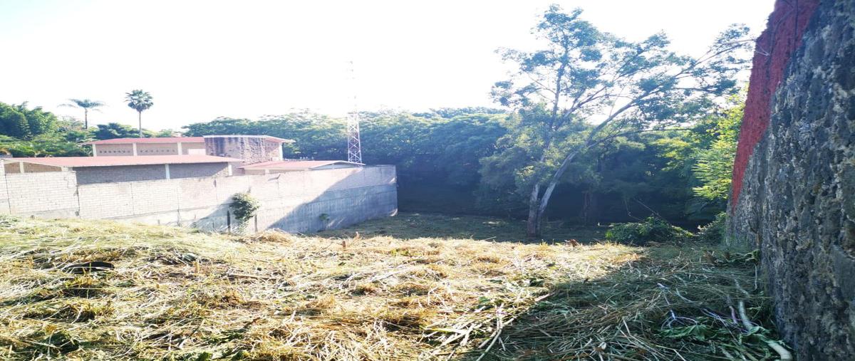 Foto de terreno habitacional en venta en  , san miguel acapantzingo, cuernavaca, morelos, 22100141 No. 04