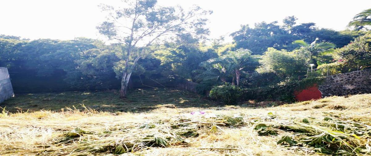 Foto de terreno habitacional en venta en  , san miguel acapantzingo, cuernavaca, morelos, 22100141 No. 05