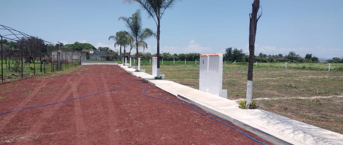 Foto de terreno habitacional en venta en  , san miguel acapantzingo, cuernavaca, morelos, 29040897 No. 05