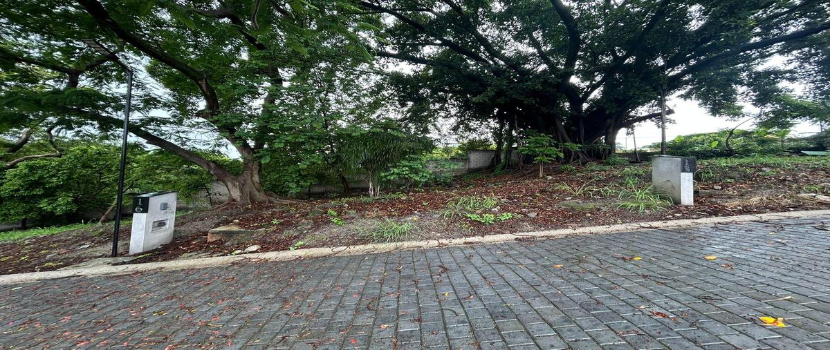 Foto de terreno habitacional en venta en  , san miguel acapantzingo, cuernavaca, morelos, 0 No. 05