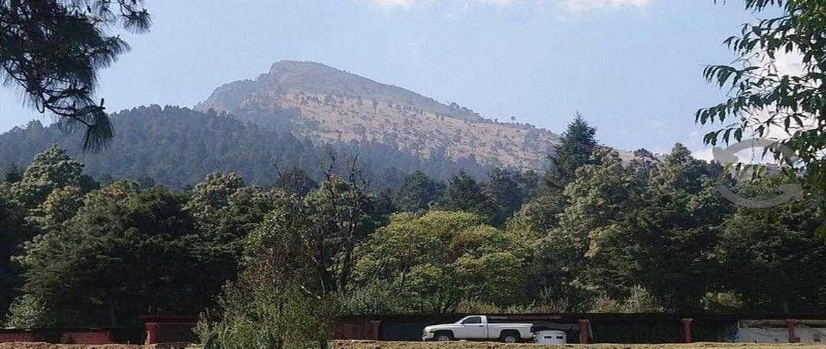 Foto de rancho en venta en  , san miguel ajusco, tlalpan, df / cdmx, 16345249 No. 03