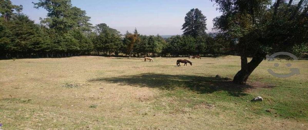 Foto de rancho en venta en  , san miguel ajusco, tlalpan, df / cdmx, 16345249 No. 04