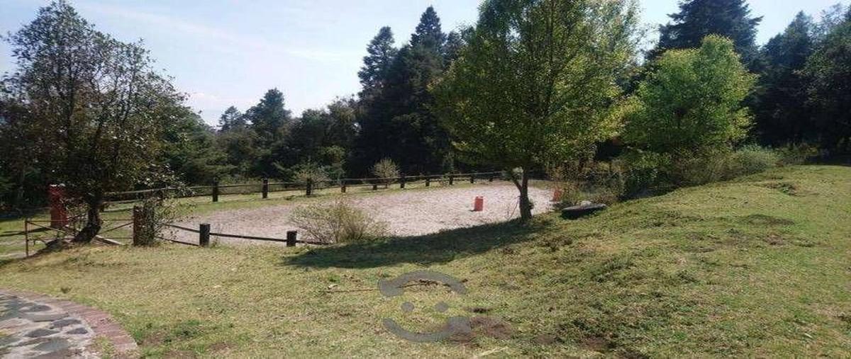 Foto de rancho en venta en  , san miguel ajusco, tlalpan, df / cdmx, 16345249 No. 05