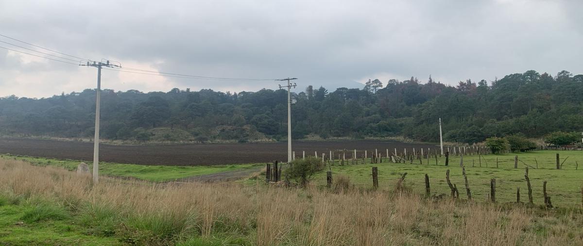 Foto de terreno habitacional en venta en  , san miguel ajusco, tlalpan, df / cdmx, 0 No. 03