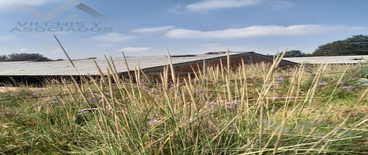 Foto de terreno habitacional en venta en  , san miguel almoloyan, almoloya de juárez, méxico, 0 No. 03