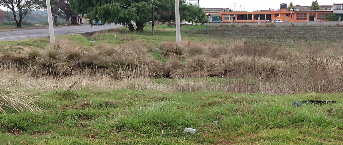 Foto de terreno habitacional en venta en  , san miguel almoloyan, almoloya de juárez, méxico, 0 No. 04