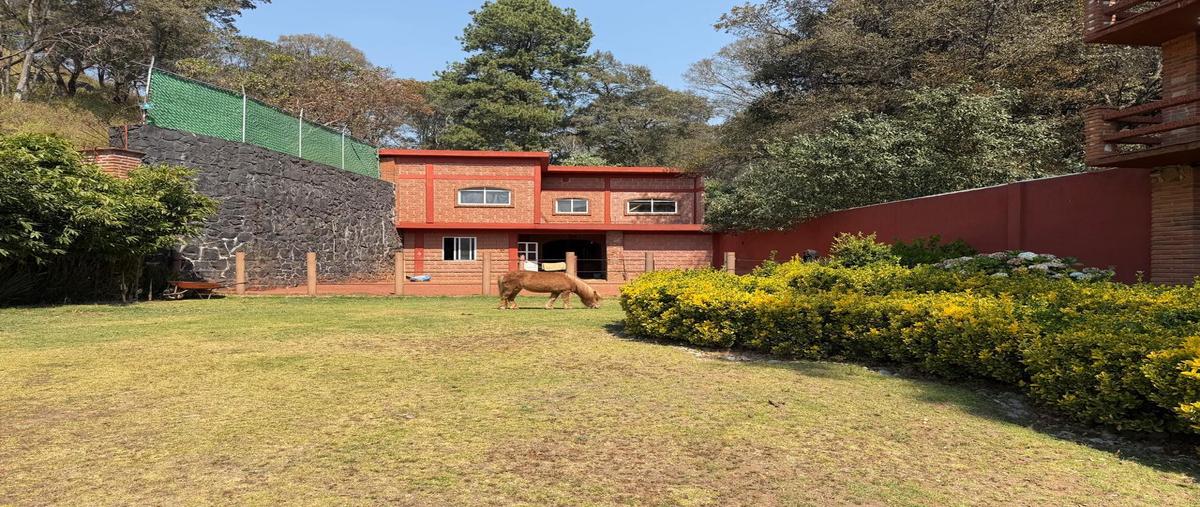 Foto de local en venta en  , san miguel ameyalco, lerma, méxico, 0 No. 03