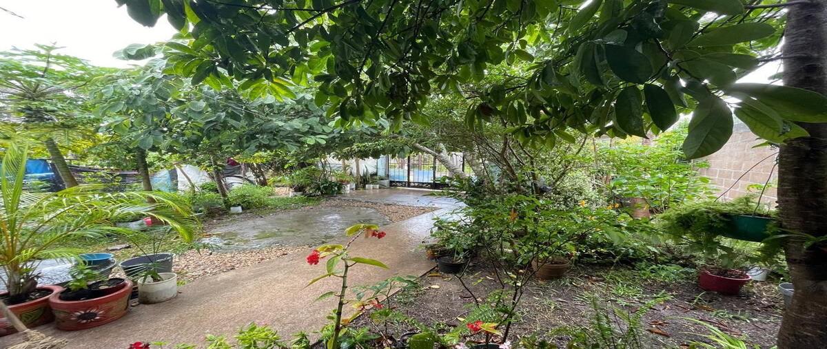 Foto de casa en venta en san miguel , berriozabal centro, berriozábal, chiapas, 0 No. 03
