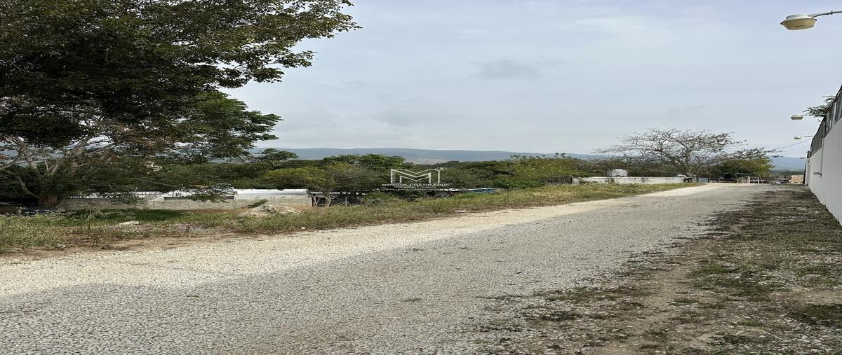 Foto de terreno habitacional en venta en . , san miguel, berriozábal, chiapas, 0 No. 04