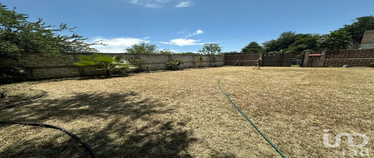 Foto de terreno habitacional en venta en san miguel camino a la vega , tetecala, tetecala, morelos, 30367762 No. 05