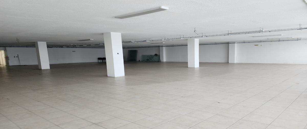 Foto de oficina en , san miguel chapultepec ii sección, miguel hidalgo, df / cdmx, 0 foto 04 Foto de oficina en renta en , san miguel chapultepec ii sección, miguel hidalgo, df / cdmx, 0 No. 04