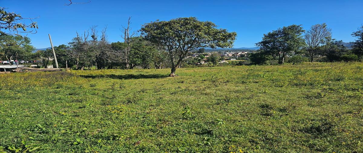 Foto de terreno habitacional en , san miguel chichimequillas de escobedo, zitácuaro, michoacán de ocampo, 0 foto 02 Foto de terreno habitacional en venta en , san miguel chichimequillas de escobedo, zitácuaro, michoacán de ocampo, 0 No. 02