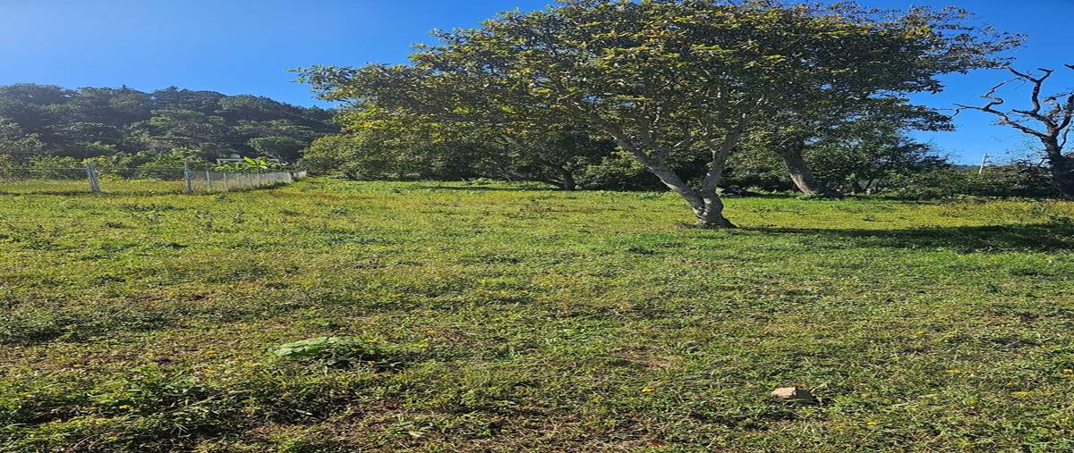 Foto de terreno habitacional en venta en  , san miguel chichimequillas de escobedo, zitácuaro, michoacán de ocampo, 0 No. 05