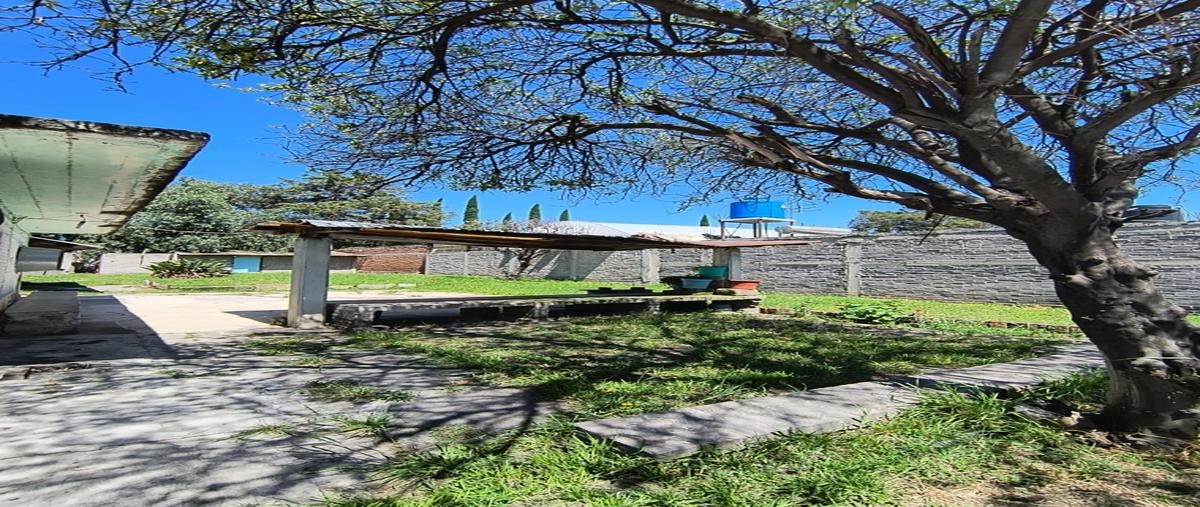 Foto de terreno habitacional en , san miguel coatlinchán, texcoco, méxico, 28747336 foto 05 Foto de terreno habitacional en venta en , san miguel coatlinchán, texcoco, méxico, 28747336 No. 05