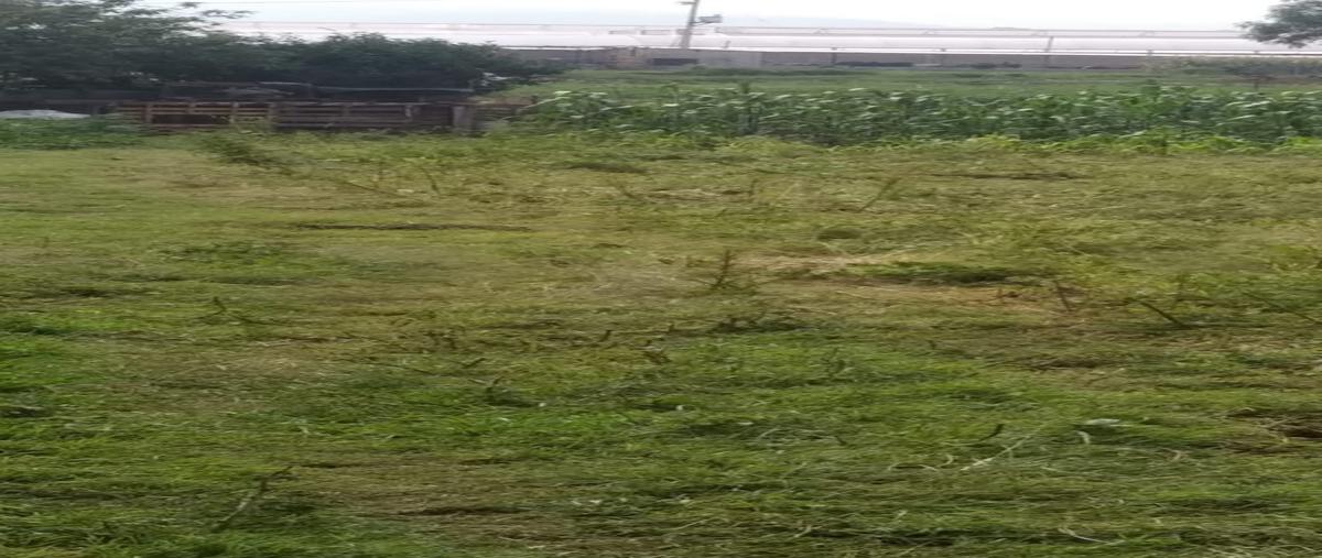 Foto de terreno habitacional en venta en  , san miguel coatlinchán, texcoco, méxico, 0 No. 05