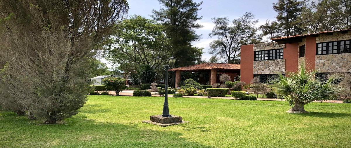 Foto de terreno habitacional en venta en  , san miguel cuyutlan, tlajomulco de zúñiga, jalisco, 28103761 No. 05