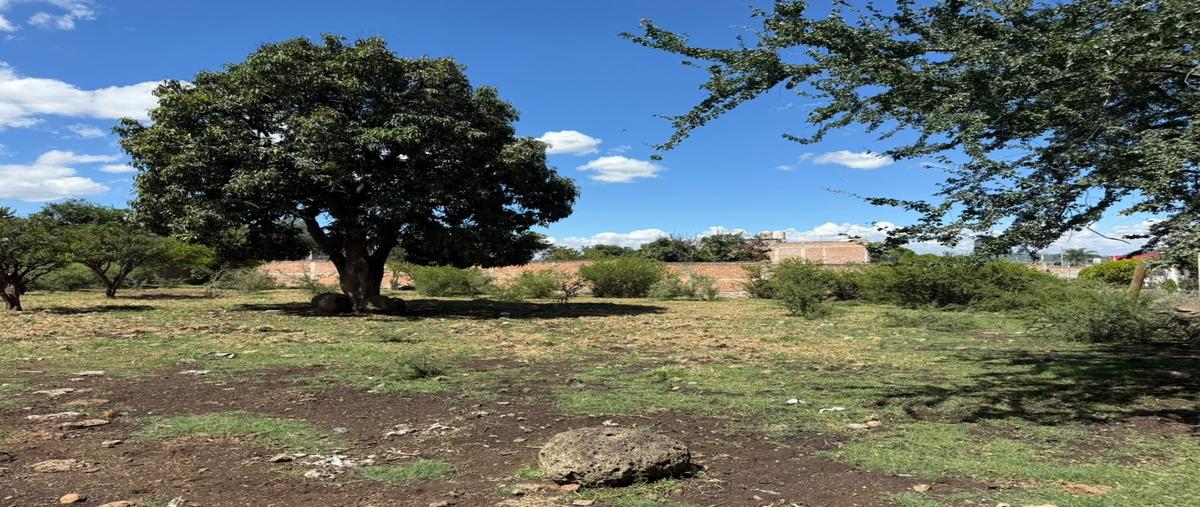 Foto de terreno habitacional en venta en  , san miguel cuyutlan, tlajomulco de zúñiga, jalisco, 0 No. 03