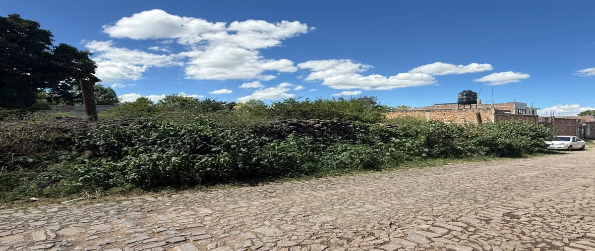 Foto de terreno habitacional en venta en  , san miguel cuyutlan, tlajomulco de zúñiga, jalisco, 0 No. 04