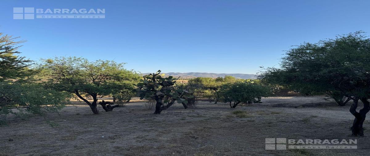 Foto de terreno habitacional en venta en  , san miguel de allende centro, san miguel de allende, guanajuato, 0 No. 03
