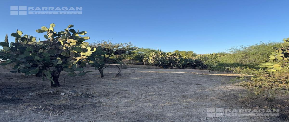 Foto de terreno habitacional en venta en  , san miguel de allende centro, san miguel de allende, guanajuato, 0 No. 04