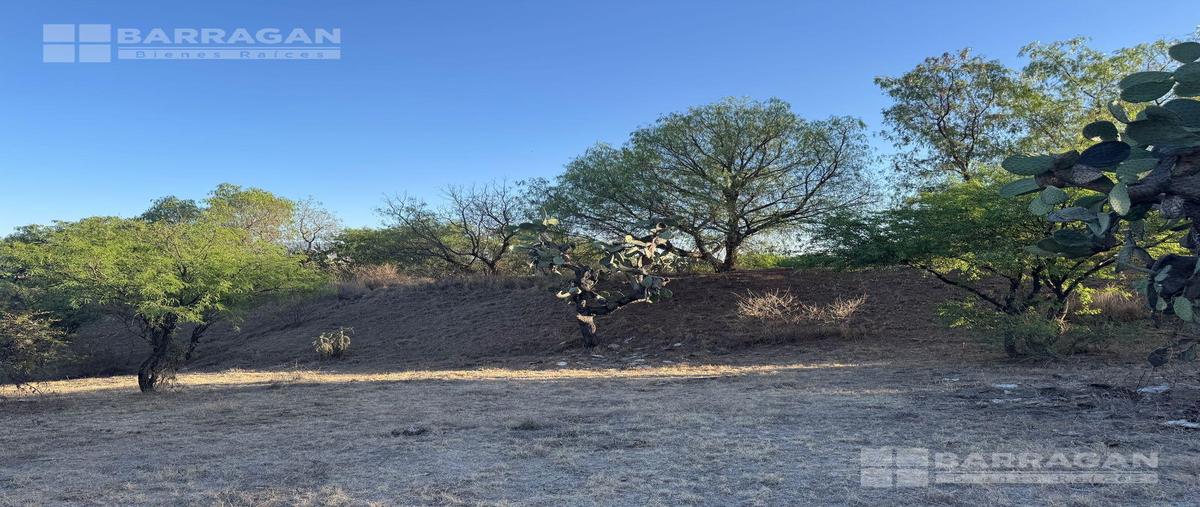 Foto de terreno habitacional en venta en  , san miguel de allende centro, san miguel de allende, guanajuato, 0 No. 05