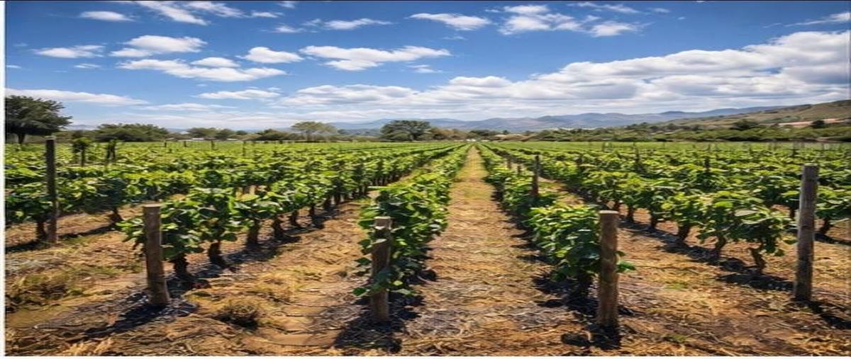 Foto de terreno habitacional en venta en san miguel de allende , san miguel de allende centro, san miguel de allende, guanajuato, 0 No. 04