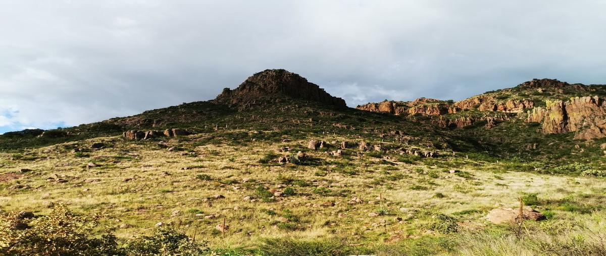 Foto de terreno habitacional en , san miguel de casa blanca 2, durango, durango, 16694504 foto 01 Foto de terreno habitacional en venta en , san miguel de casa blanca 2, durango, durango, 16694504 No. 01