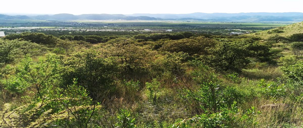 Foto de terreno habitacional en , san miguel de casa blanca 2, durango, durango, 16694504 foto 05 Foto de terreno habitacional en venta en , san miguel de casa blanca 2, durango, durango, 16694504 No. 05