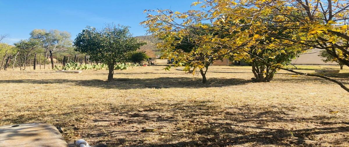 Foto de rancho en venta en  , san miguel de casa blanca 2, durango, durango, 0 No. 03