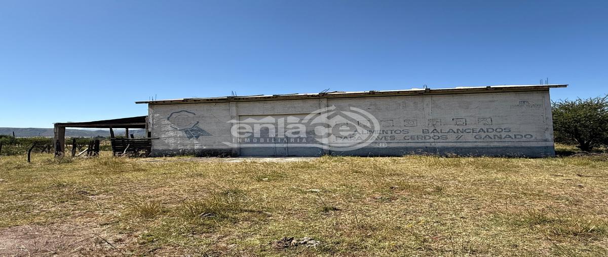 Foto de terreno habitacional en venta en  , san miguel de casa blanca 2, durango, durango, 0 No. 05