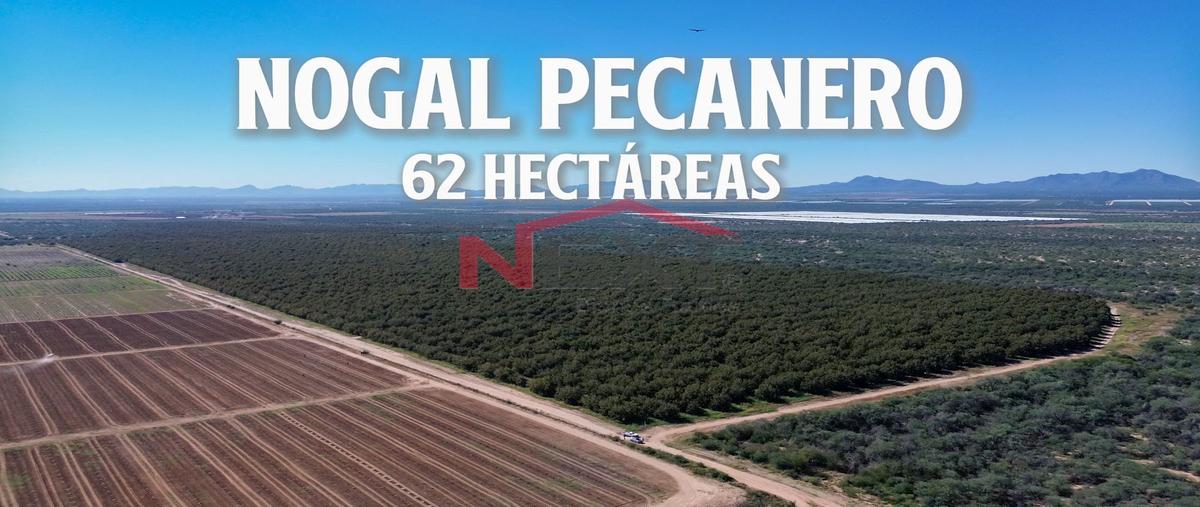 Foto de rancho en san miguel de horcasitas 0, san miguel de horcasitas, san miguel de horcasitas, sonora, 30559404 foto 01 Foto de rancho en venta en san miguel de horcasitas 0, san miguel de horcasitas, san miguel de horcasitas, sonora, 30559404 No. 01