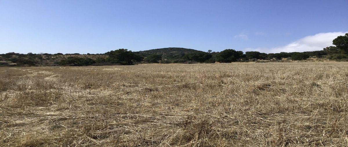 Foto de terreno habitacional en venta en  , san miguel de las tunas, apan, hidalgo, 0 No. 03