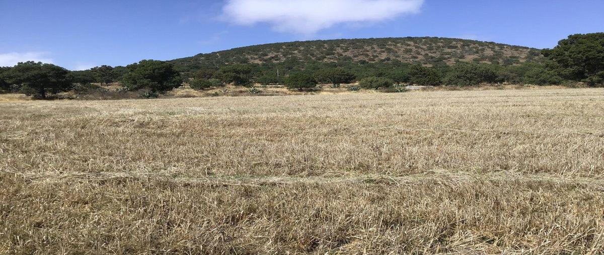 Foto de terreno habitacional en venta en  , san miguel de las tunas, apan, hidalgo, 0 No. 05