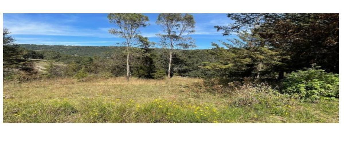 Foto de terreno habitacional en venta en  , san miguel dehetí, amealco de bonfil, querétaro, 26057074 No. 03