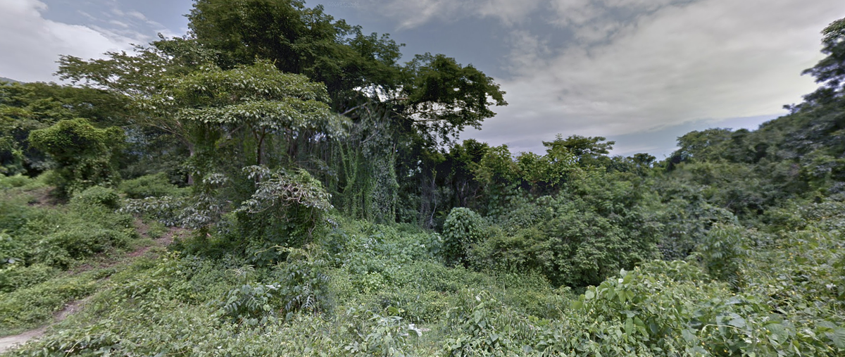 Foto de terreno habitacional en venta en  , san miguel del puerto, san miguel del puerto, oaxaca, 0 No. 03