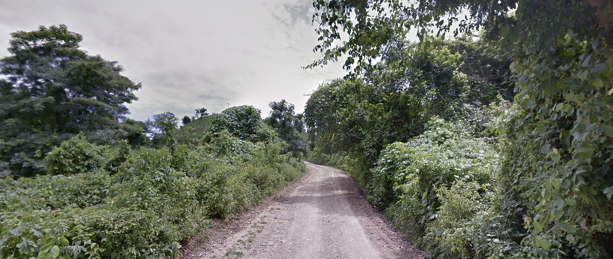 Foto de terreno habitacional en venta en  , san miguel del puerto, san miguel del puerto, oaxaca, 0 No. 04