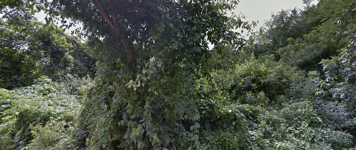 Foto de terreno habitacional en venta en  , san miguel del puerto, san miguel del puerto, oaxaca, 0 No. 05