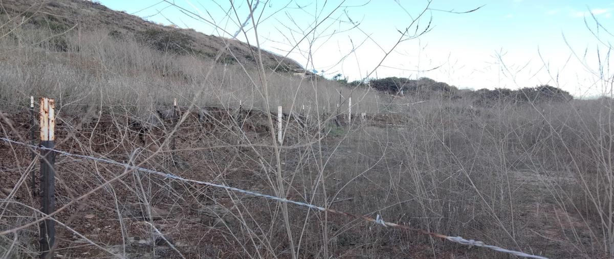 Foto de terreno habitacional en venta en san miguel , el sauzal, ensenada, baja california, 28253973 No. 03