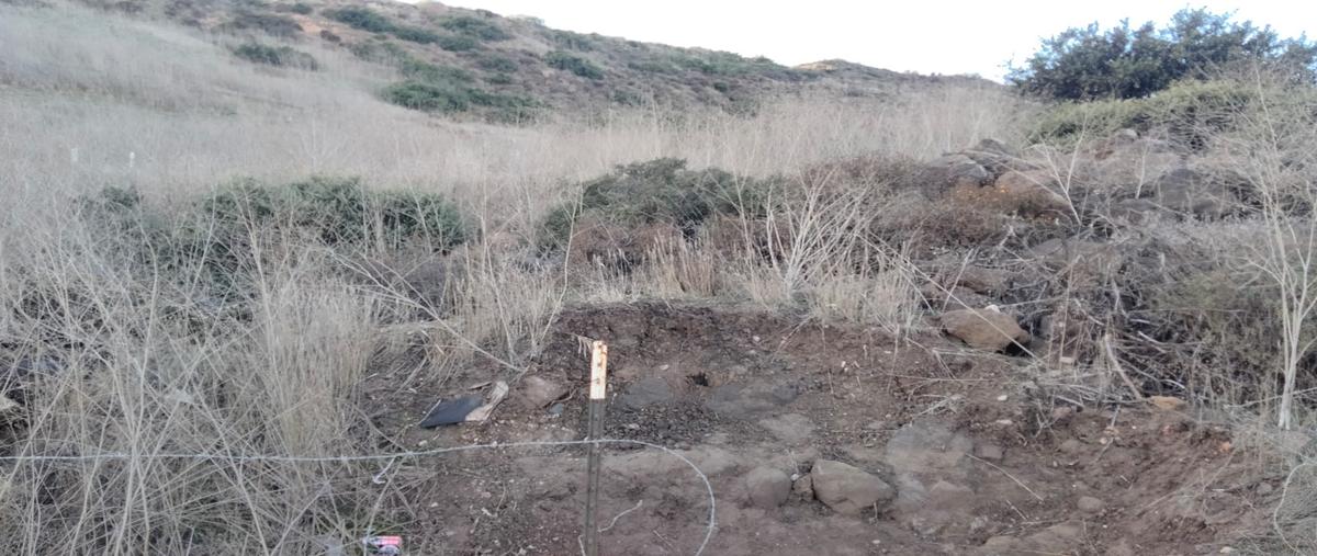 Foto de terreno habitacional en venta en san miguel , el sauzal, ensenada, baja california, 28253973 No. 05