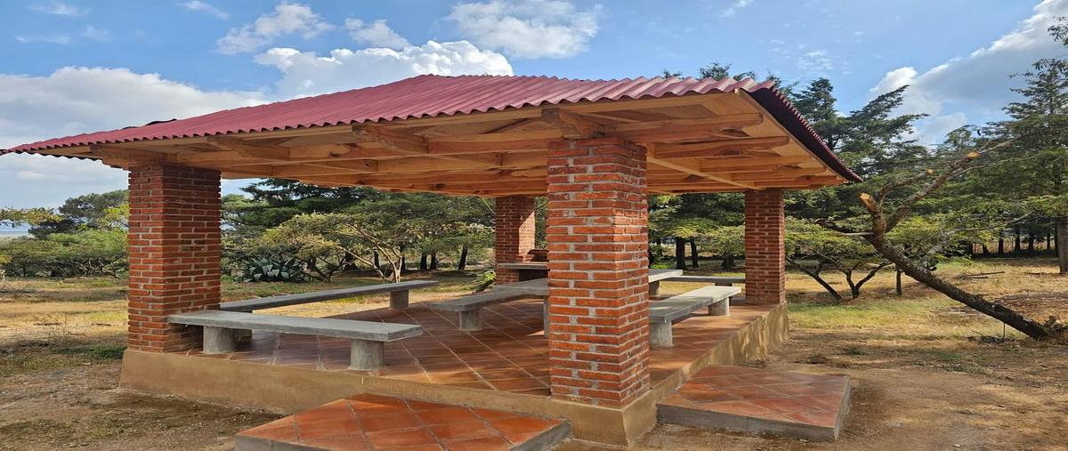 Foto de terreno habitacional en venta en  , san miguel, erongarícuaro, michoacán de ocampo, 0 No. 03