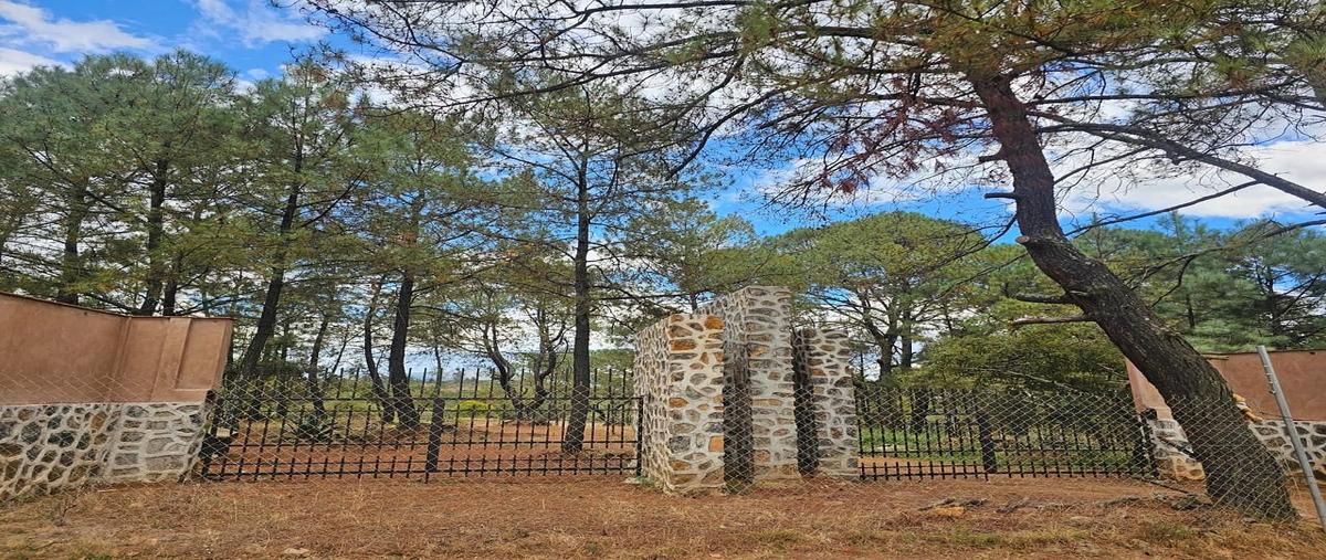 Foto de terreno habitacional en venta en  , san miguel, erongarícuaro, michoacán de ocampo, 0 No. 04