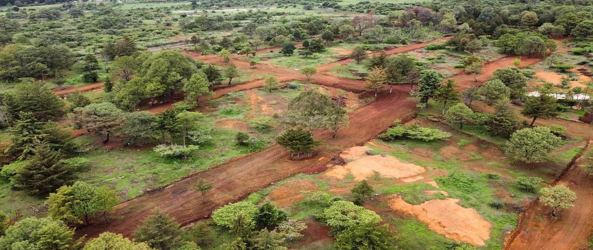 Foto de terreno habitacional en venta en  , san miguel, erongarícuaro, michoacán de ocampo, 0 No. 05