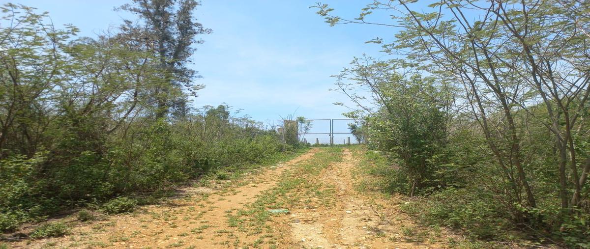 Foto de terreno habitacional en venta en  , san miguel etla, san juan bautista guelache, oaxaca, 0 No. 04
