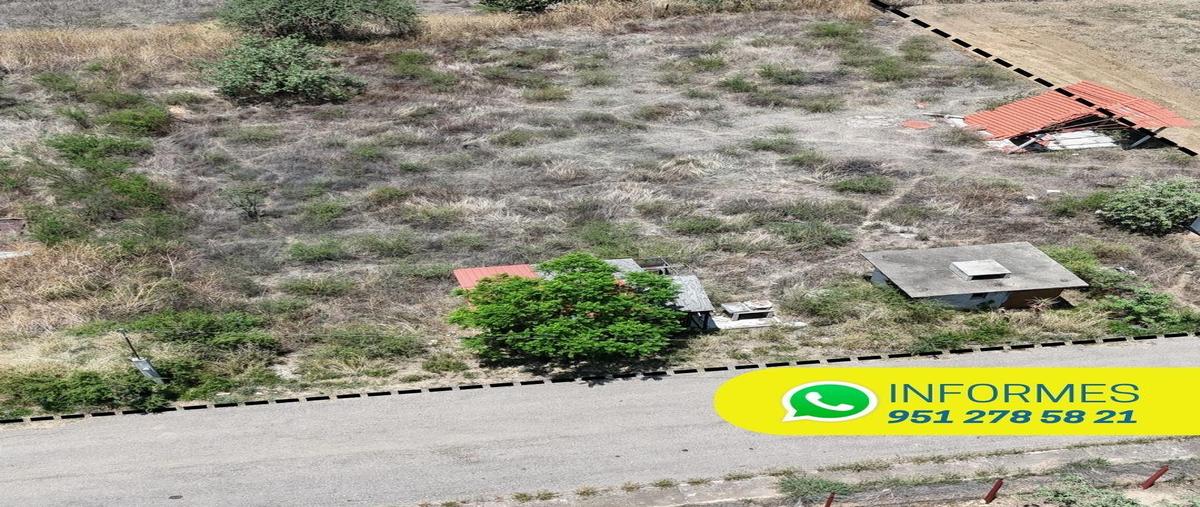 Foto de terreno habitacional en venta en  , san miguel etla, san juan bautista guelache, oaxaca, 0 No. 03