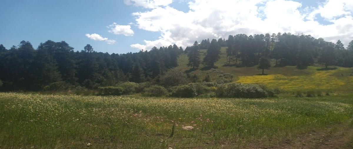 Foto de terreno habitacional en venta en  , san miguel, huixquilucan, méxico, 25436776 No. 01
