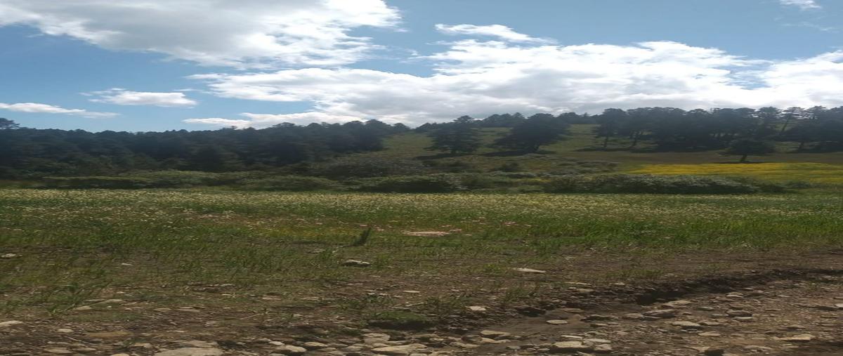 Foto de terreno habitacional en venta en  , san miguel, huixquilucan, méxico, 25436776 No. 02