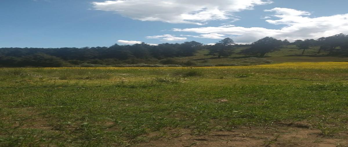 Foto de terreno habitacional en venta en  , san miguel, huixquilucan, méxico, 25436776 No. 03